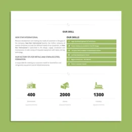 3 new star inernational